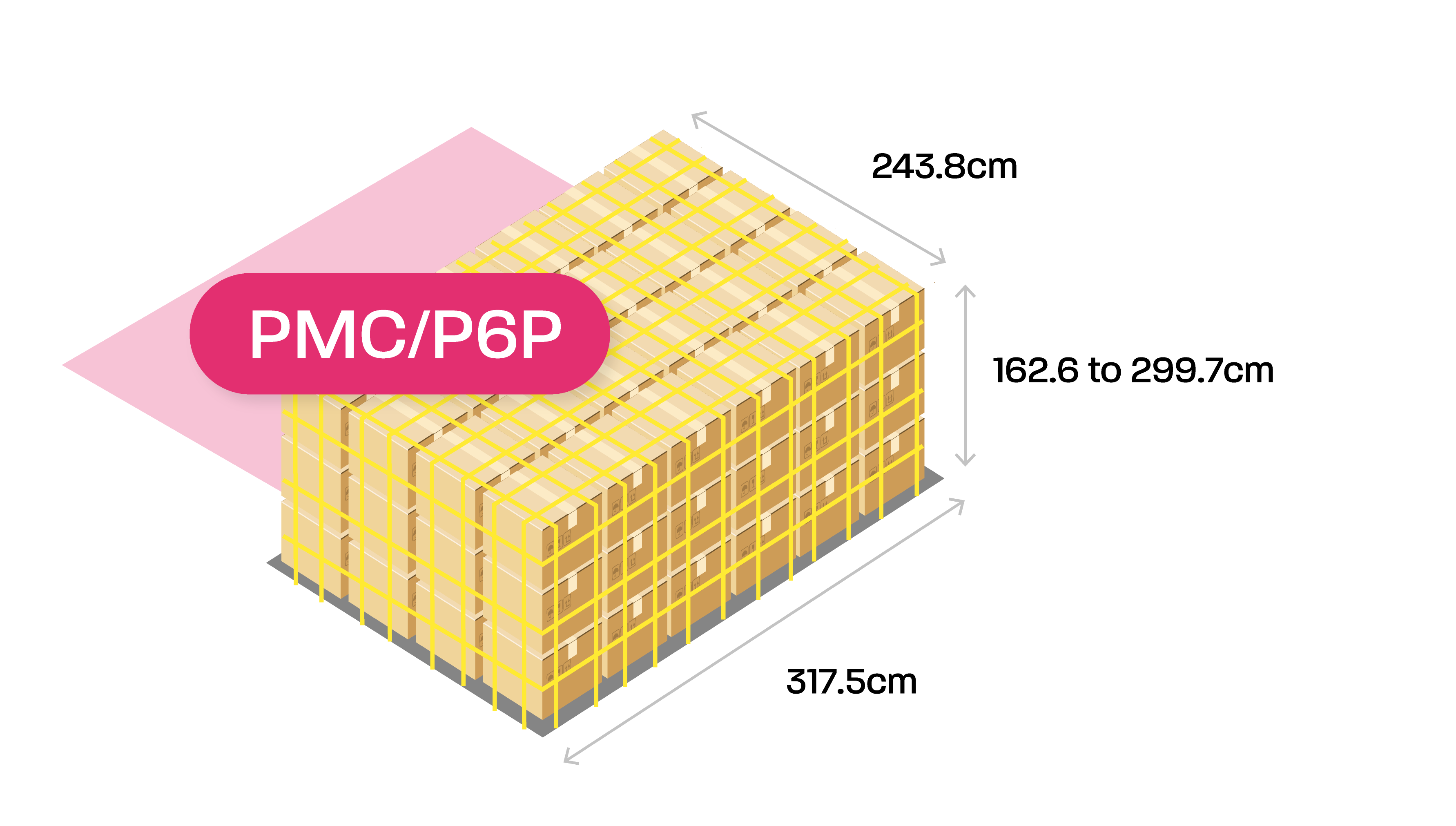 PMC/P6P